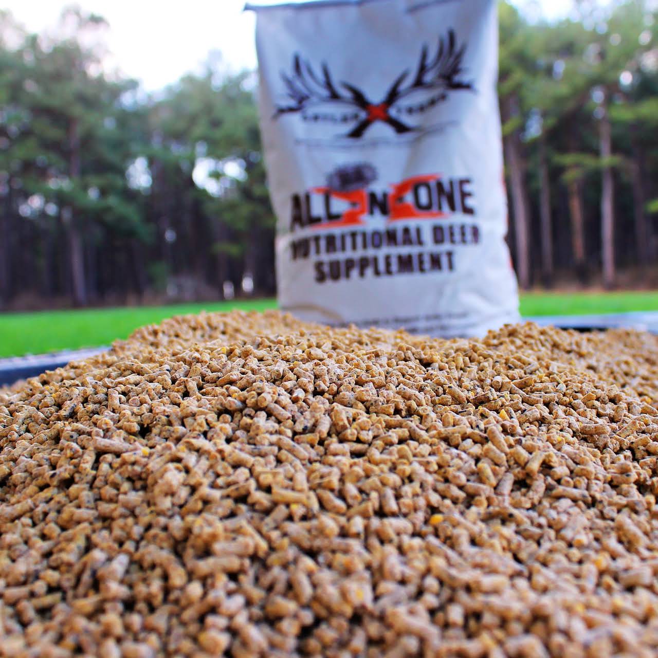 Whitetail deer benefiting from year-round nutrition using AntlerXtreme All-N-One feed